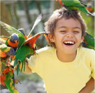 Happy child at the zoo holding a parrot