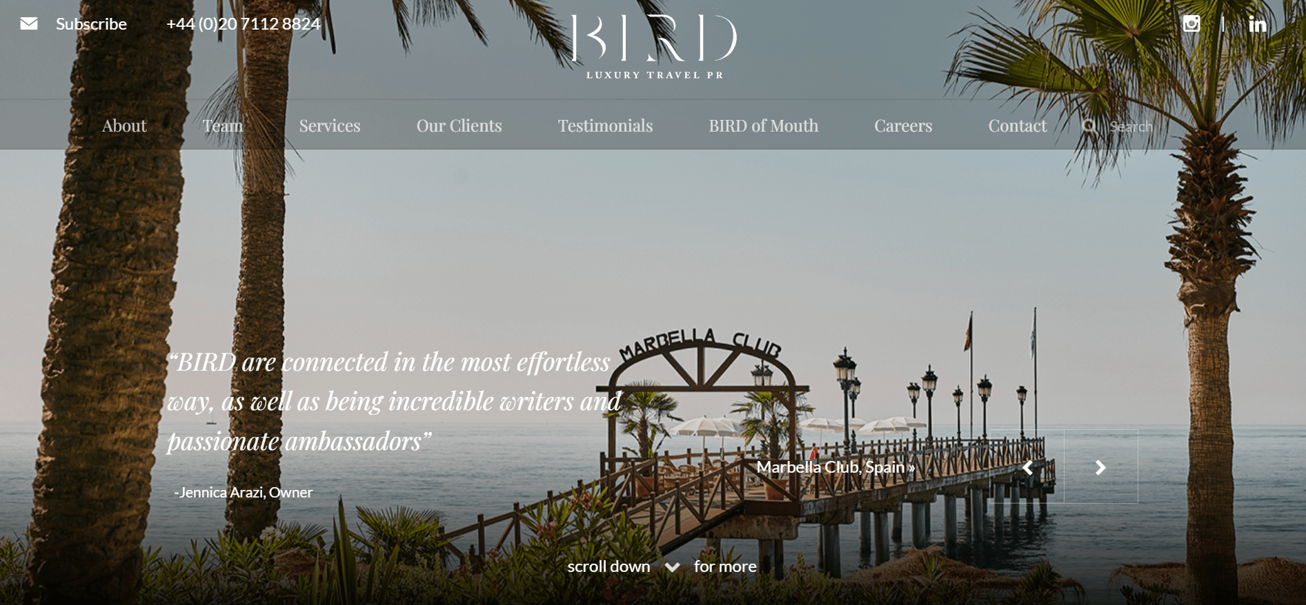 Landing page of Bird Travel PR 